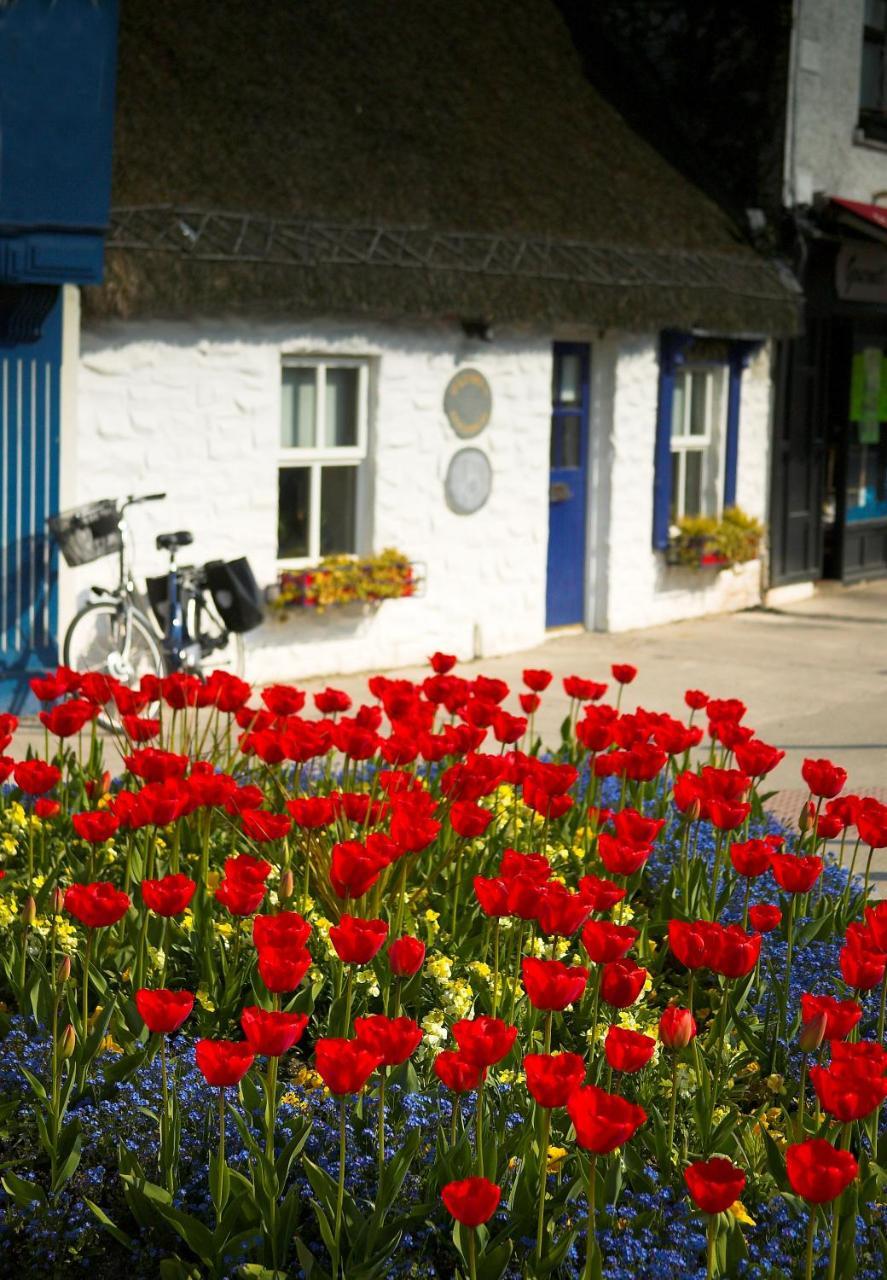 The Redbank Guesthouse Skerries Eksteriør bilde